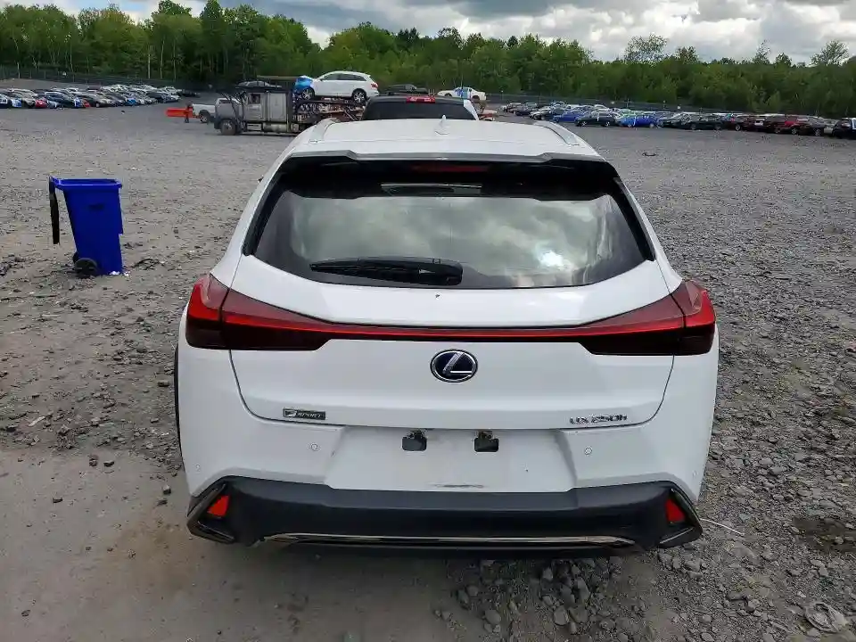 JTHU9JBH2K2006114 2019 LEXUS UX 250H-5