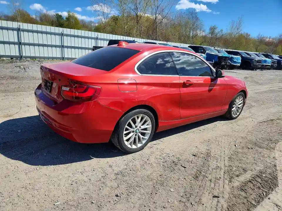 WBA1G9C5XGV599026 2016 BMW 2 SERIES-2