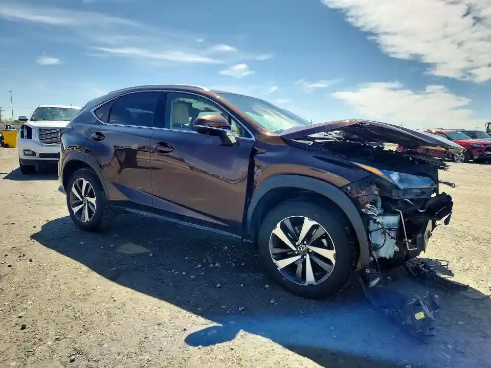 JTJBARBZ9K2202698 2019 LEXUS NX-3