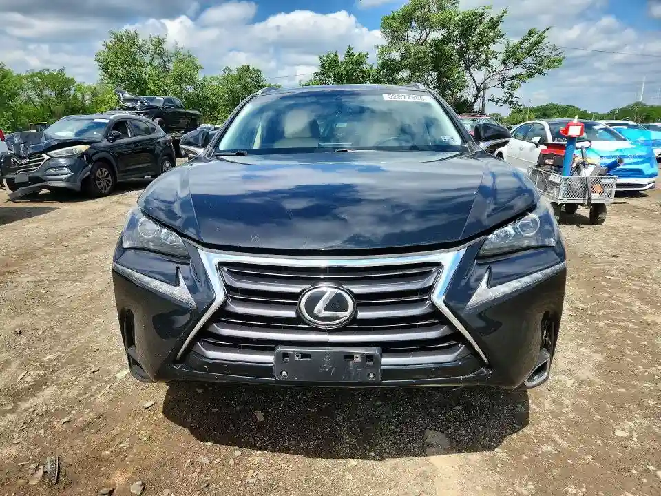 JTJBARBZ5G2084866 2016 LEXUS NX-4