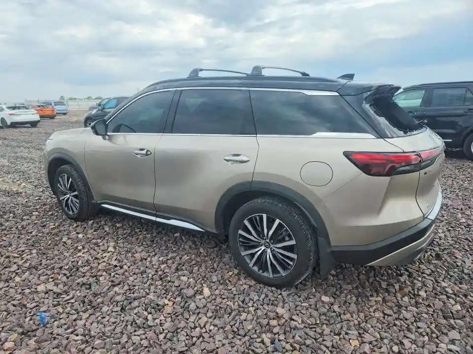 5N1DL1HU5PC365168 2023 INFINITI QX60-1