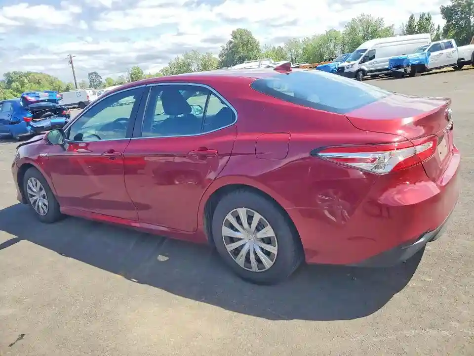 4T1B31HK1KU516788 2019 TOYOTA CAMRY-1