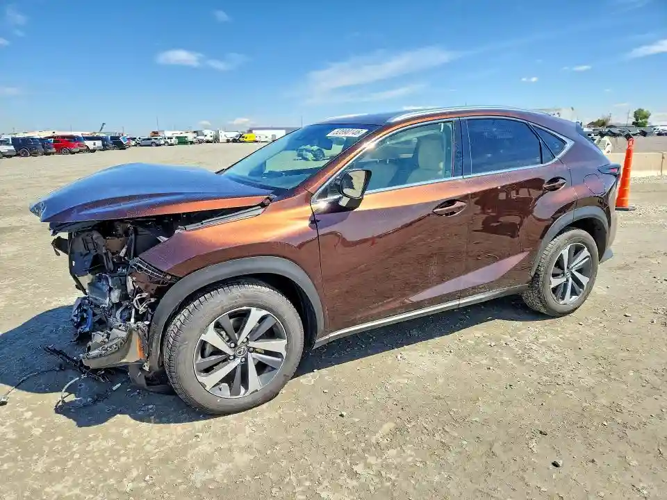 JTJBARBZ9K2202698 2019 LEXUS NX-0