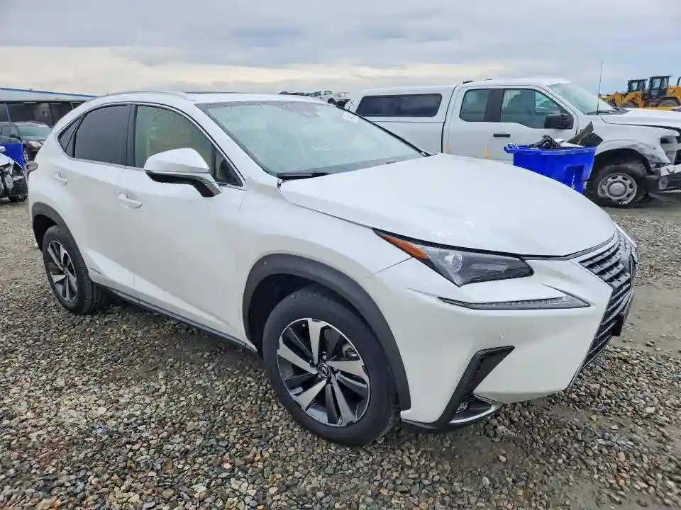 JTJGJRDZ8M5010659 2021 LEXUS NX-3
