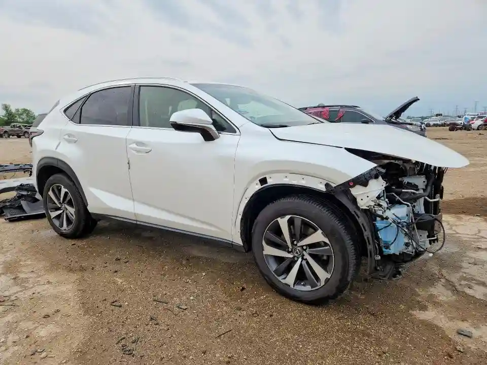 JTJBARBZ0K2188416 2019 LEXUS NX-3