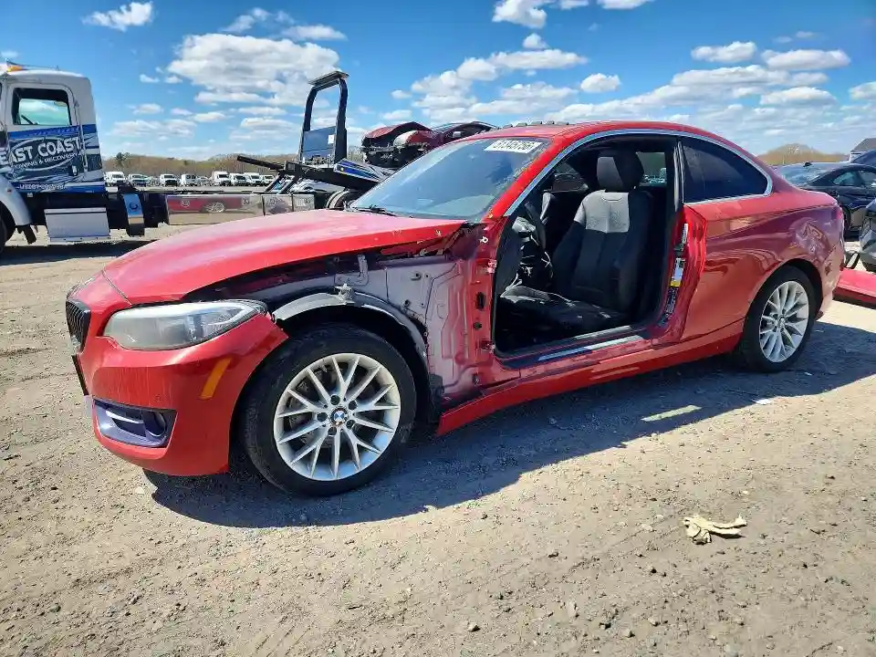 WBA1G9C5XGV599026 2016 BMW 2 SERIES-0