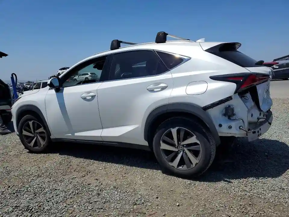 JTJYARBZ2K2118555 2019 LEXUS NX-1