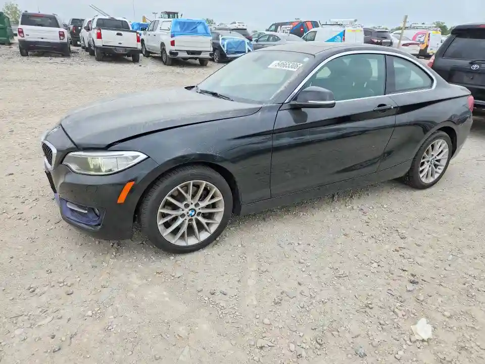 WBA1G9C51GV726651 2016 BMW 2 SERIES-0