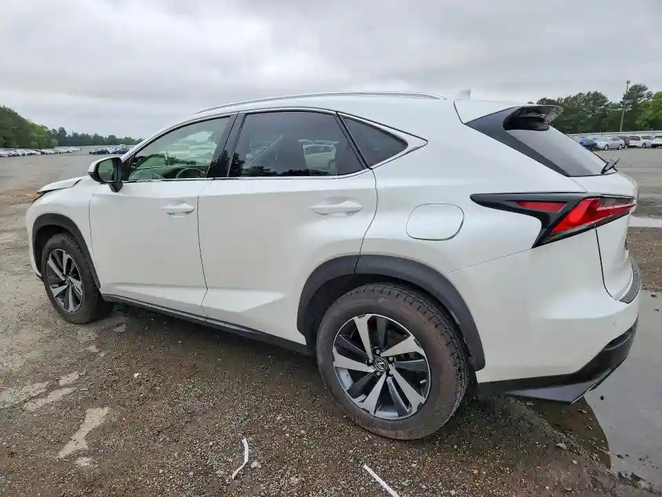 JTJGARBZ2L2158342 2020 LEXUS NX-1