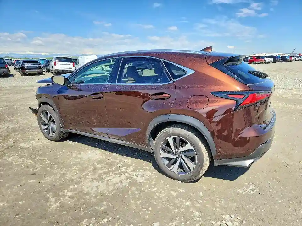 JTJBARBZ9K2202698 2019 LEXUS NX-1