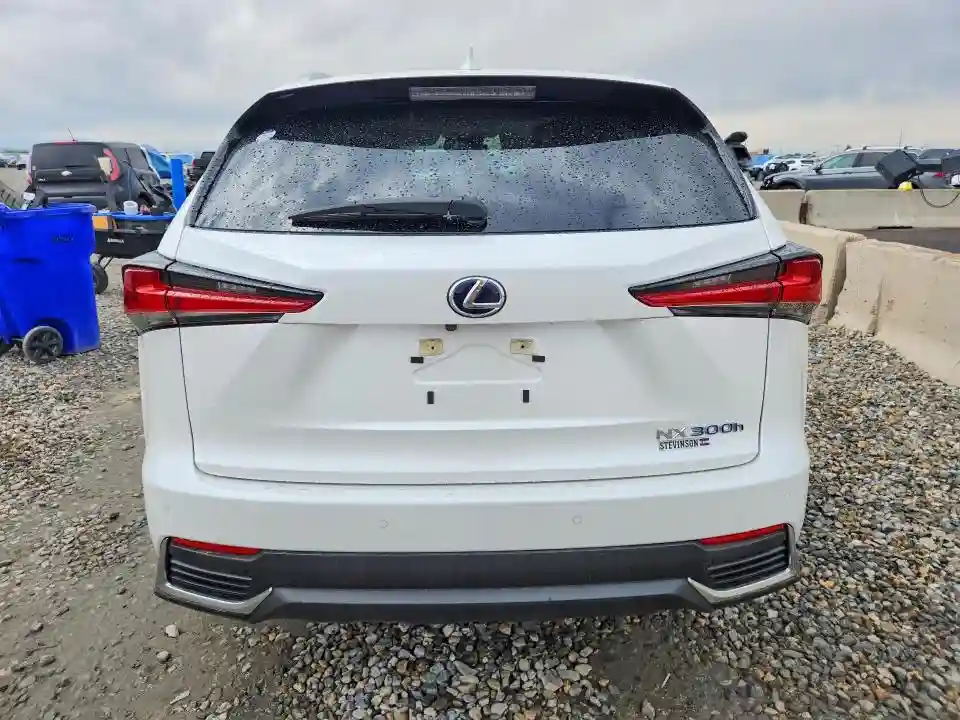 JTJGJRDZ8M5010659 2021 LEXUS NX-5