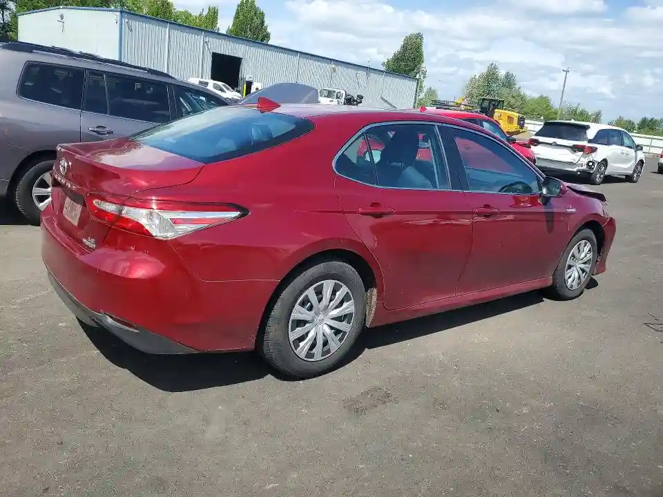 4T1B31HK1KU516788 2019 TOYOTA CAMRY-2