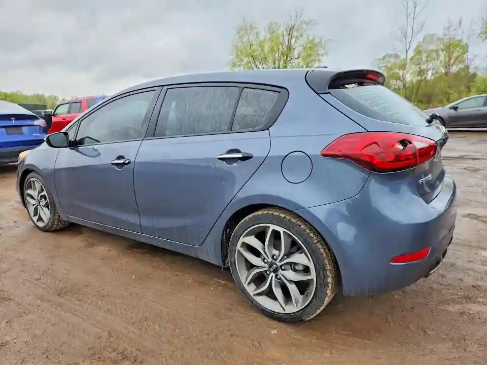 KNAFZ5A34G5546865 2016 KIA FORTE-1