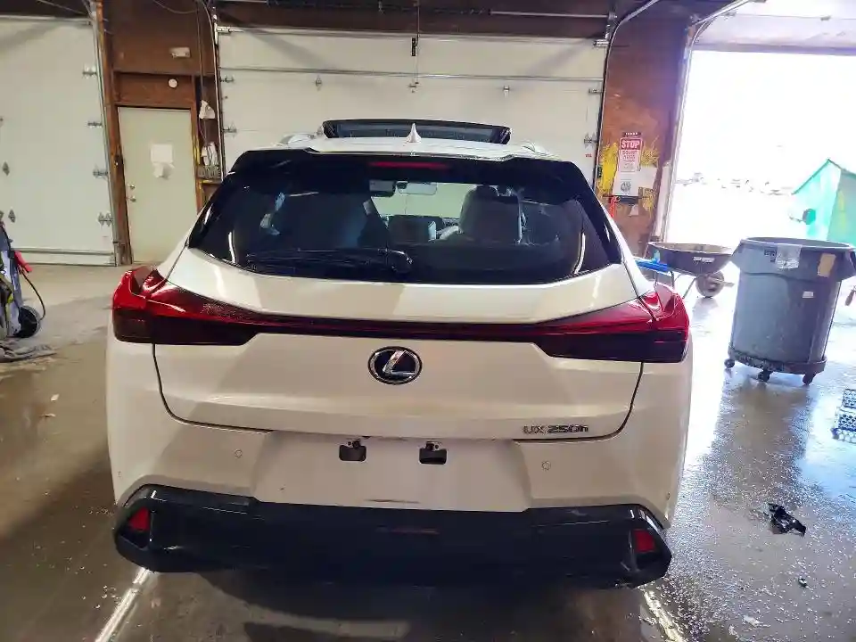 JTHU9JBHXK2003591 2019 LEXUS UX 250H-5