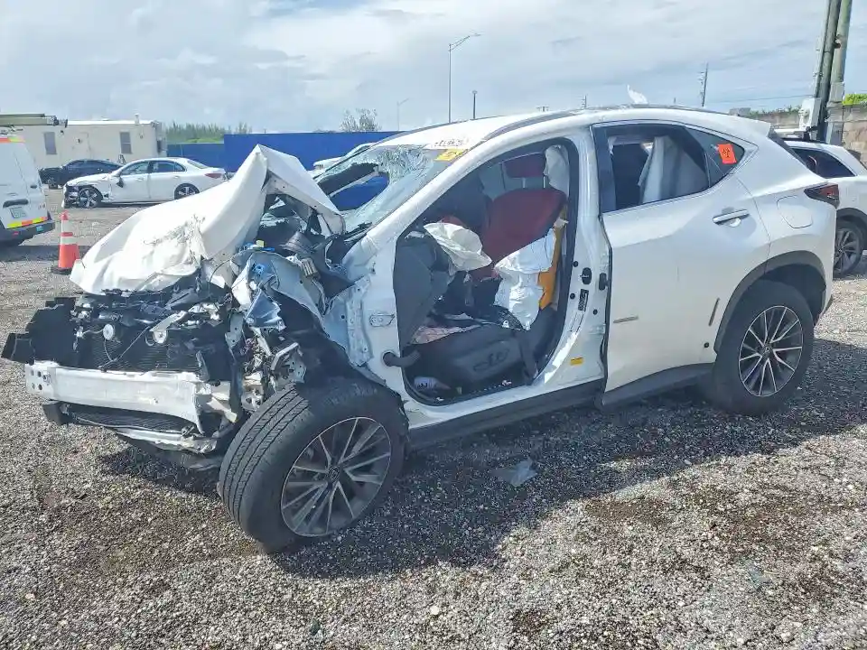 JTJADCAZ2S5024066 2025 LEXUS NX 250-0
