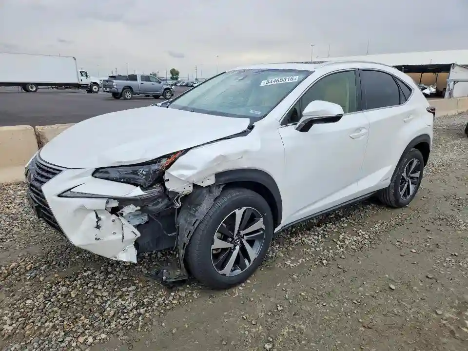 JTJGJRDZ8M5010659 2021 LEXUS NX-0