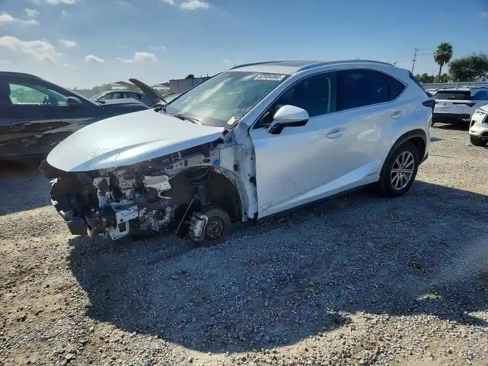 JTJDJRDZ3L5001370 2020 LEXUS NX-0
