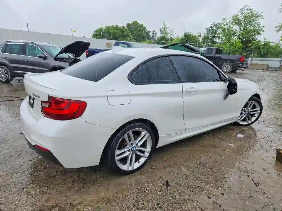 WBA1G9C51GV727041 2016 BMW 2 SERIES-2