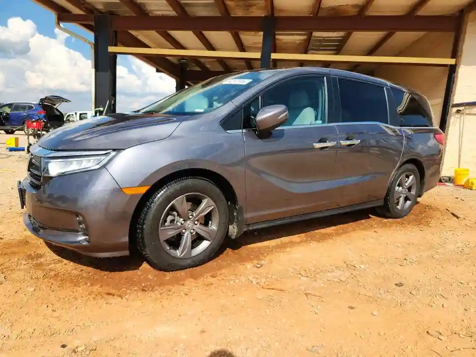 5FNRL6H54NB010766 2022 HONDA ODYSSEY-0