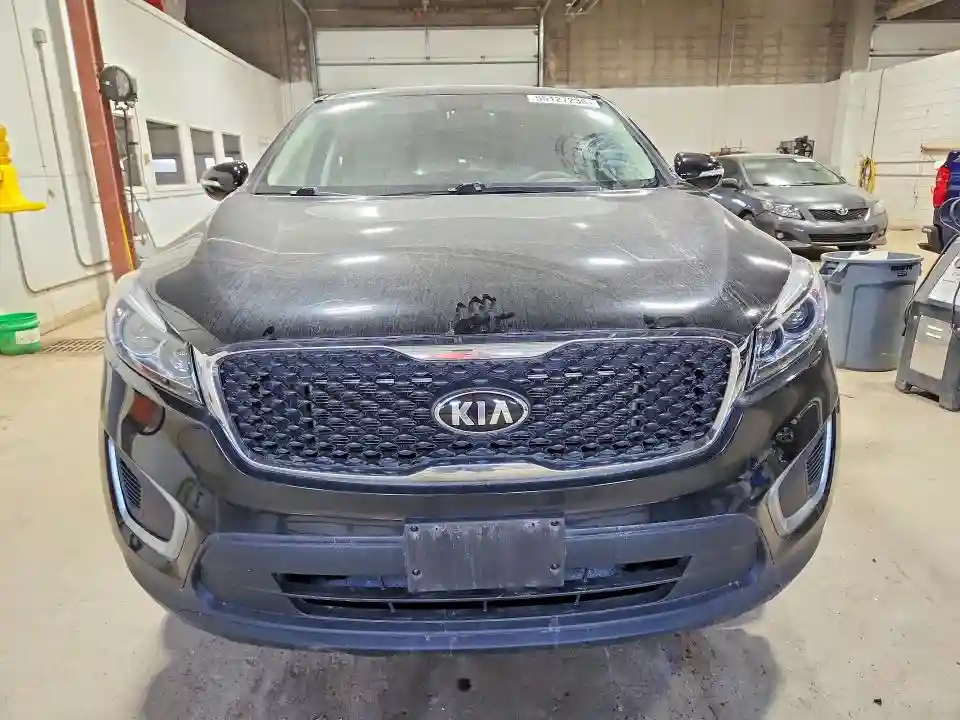5XYPG4A36GG187243 2016 KIA SORENTO-4