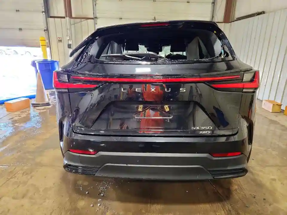 2T2AGCEZ1RC038456 2024 LEXUS NX-5