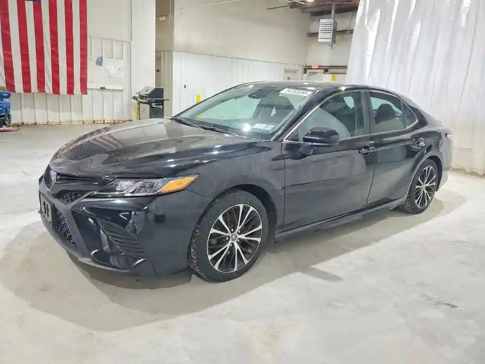 4T1G11AK1LU948739 2020 TOYOTA CAMRY-0