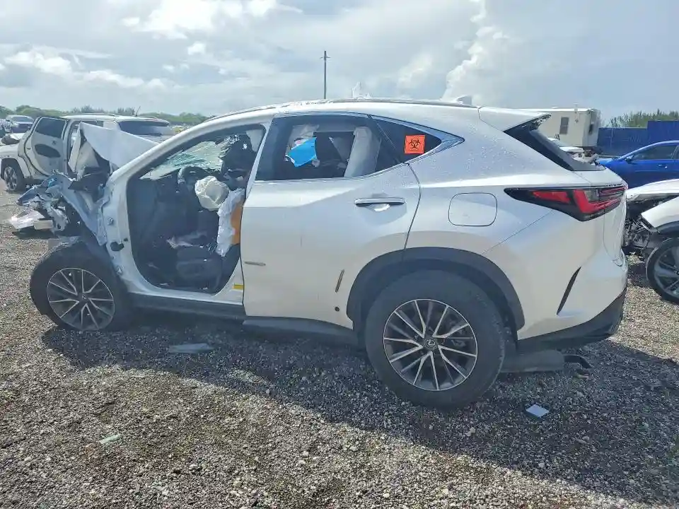 JTJADCAZ2S5024066 2025 LEXUS NX 250-1