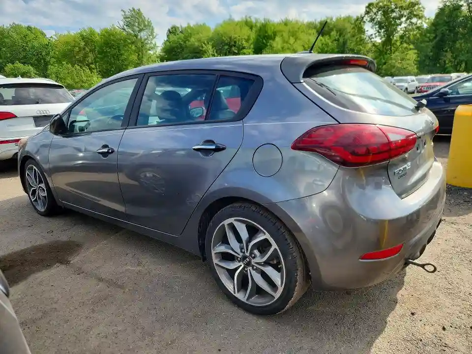 KNAFZ5A35G5592172 2016 KIA FORTE-1