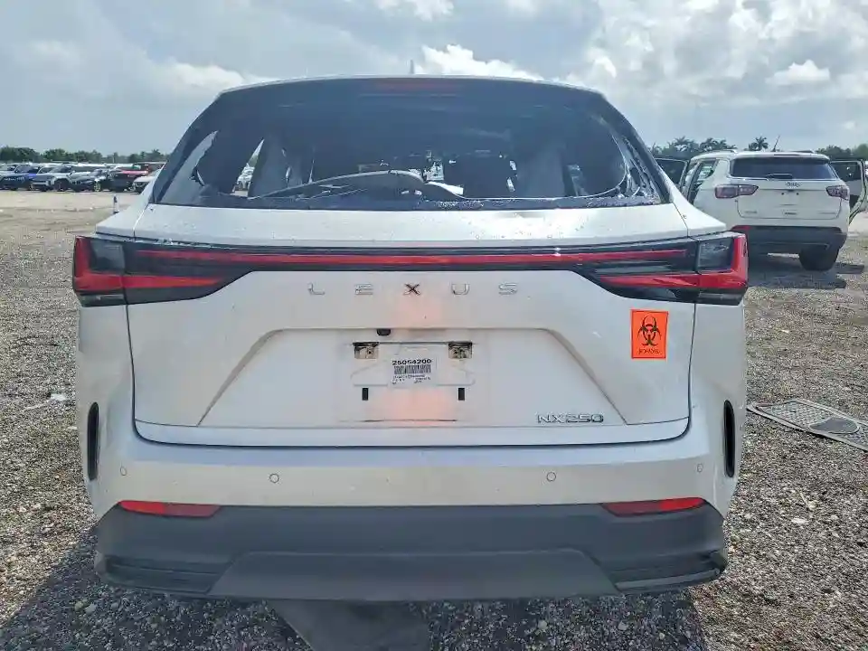 JTJADCAZ2S5024066 2025 LEXUS NX 250-5