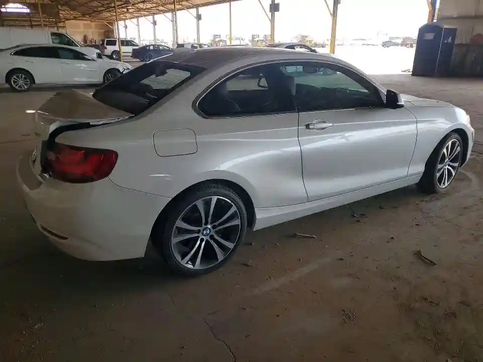 WBA1G9C50GVX97050 2016 BMW 2 SERIES-2