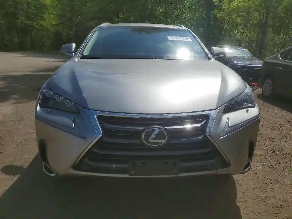 JTJBARBZ9G2075216 2016 LEXUS NX-4