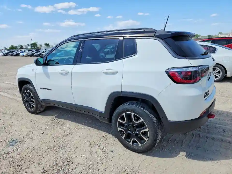 3C4NJDDBXLT238581 2020 JEEP COMPASS-1