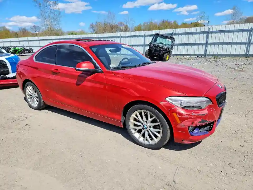 WBA1G9C5XGV599026 2016 BMW 2 SERIES-3
