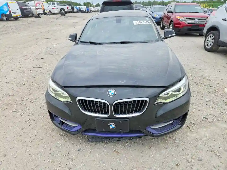 WBA1G9C51GV726651 2016 BMW 2 SERIES-4
