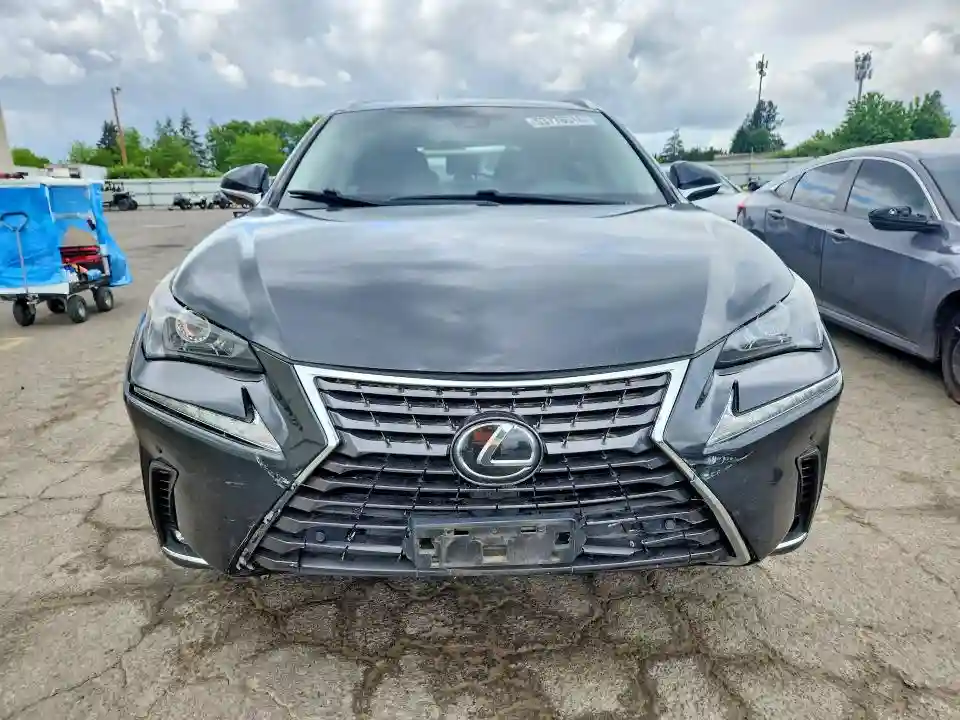 JTJDARDZ1L2223259 2020 LEXUS NX-4
