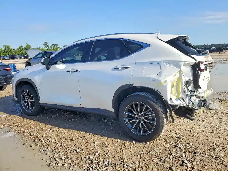 JTJGKCEZ6S5031807 2025 LEXUS NX-1