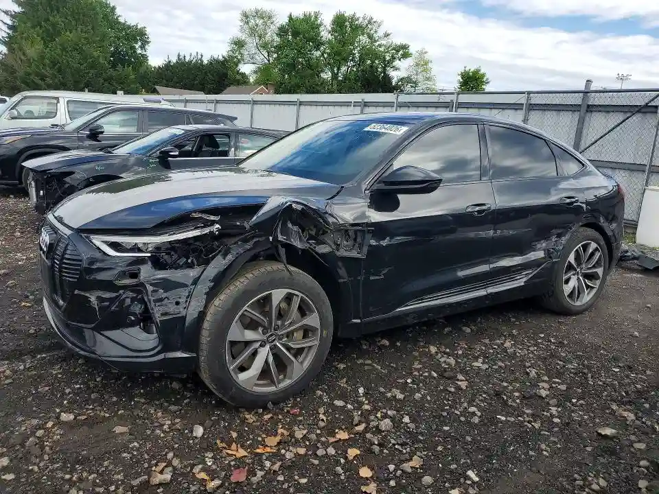 WA12AAGE3MB000947 2021 AUDI E-TRON-0