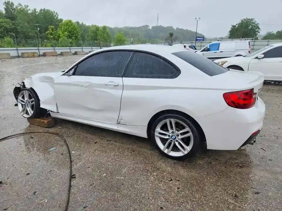 WBA1G9C51GV727041 2016 BMW 2 SERIES-1