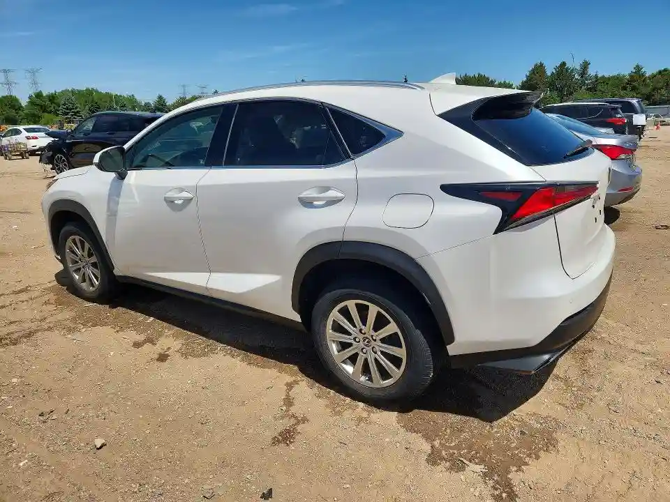JTJDARDZ1L5015400 2020 LEXUS NX-1