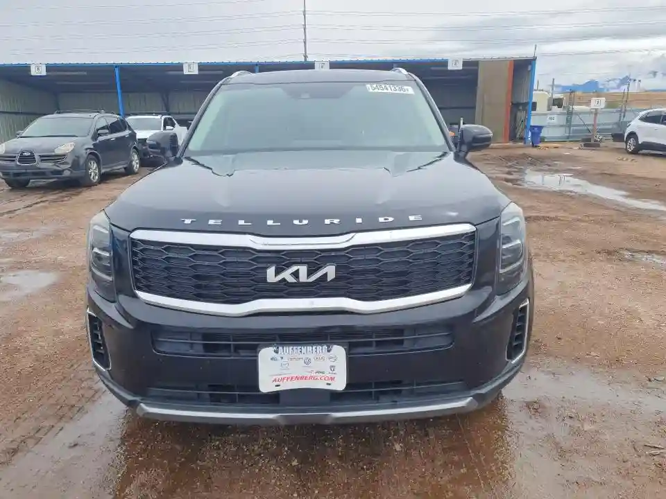5XYP34HC6NG200751 2022 KIA TELLURIDE-4