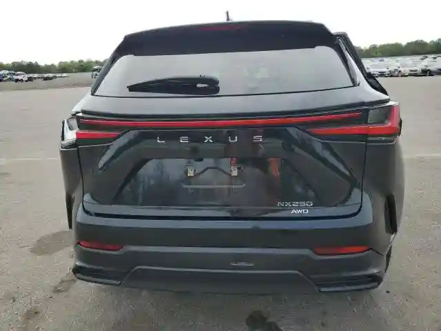 2T2ADCEZ1RC004168 2024 LEXUS NX 250 BAS-5