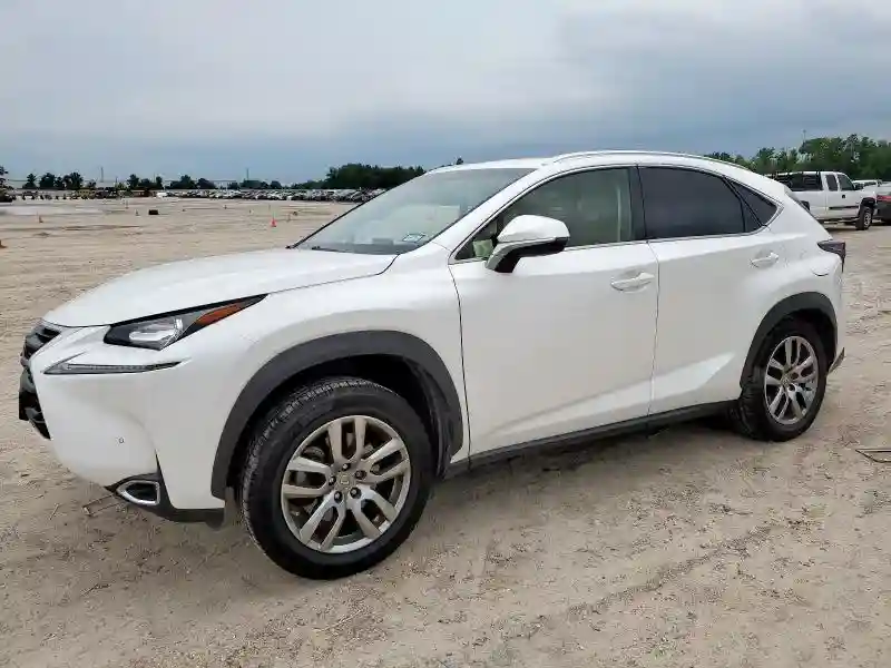 JTJYARBZ4G2041887 2016 LEXUS NX-0