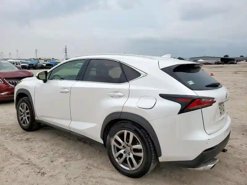 JTJYARBZ4G2041887 2016 LEXUS NX-1