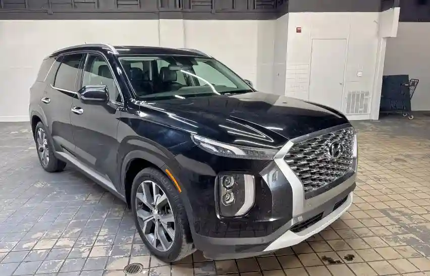 KM8R44HEXLU094030 2020 HYUNDAI PALISADE-0