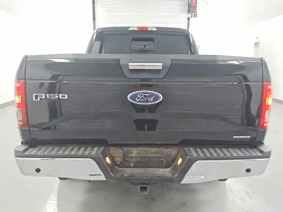 1FTEW1CF9GFC26491 2016 FORD F150-5