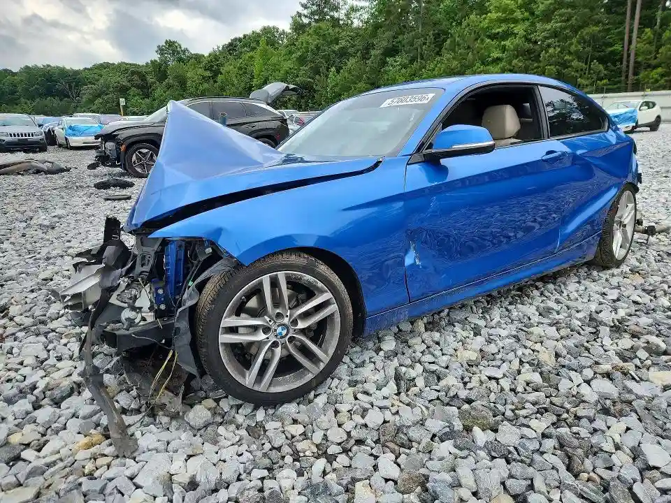 WBA2F9C38HV984012 2017 BMW 2 SERIES-0