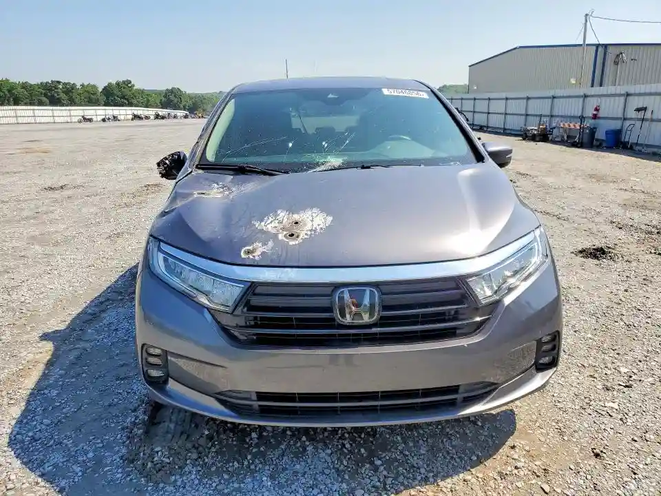 5FNRL6H64RB074207 2024 HONDA ODYSSEY-4