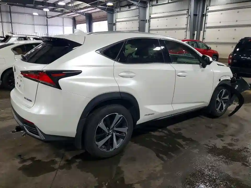JTJGJRDZ4L5004145 2020 LEXUS NX-2