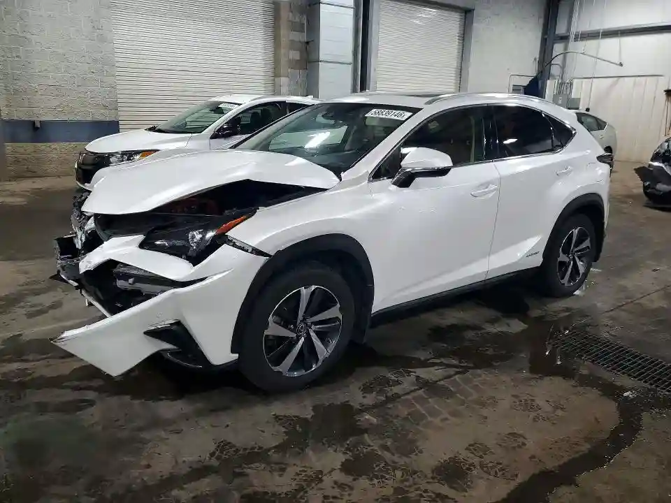 JTJGJRDZ4L5004145 2020 LEXUS NX-0