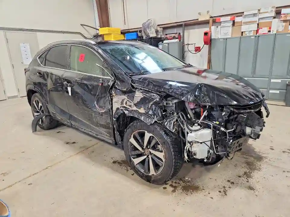 JTJHJRDZ4L2145030 2020 LEXUS NX-3